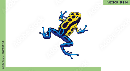 Poison Dart Frog Close Up Portrait 1.