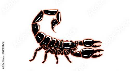 Scorpion isolated on white background.