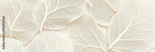 Elegant ivory leaves with intricate veins layered on a delicate beige backdrop for a soft touch.