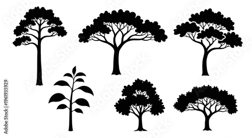 Set of Diverse Tree Silhouettes, Vector Graphics