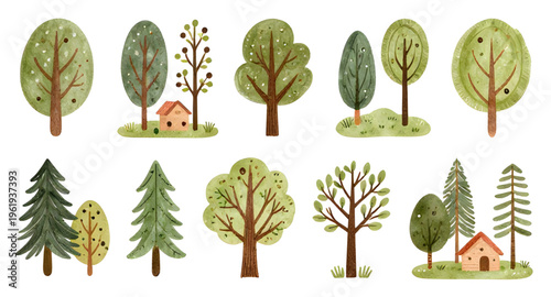 tree, cartoon, trees, cute, nature, plant, forest, garden, foliage, leaf, leaves, green, branch, trunk, wood, landscape, park, outdoor, environment, ecology, eco, organic, growth, spring, summer, flor