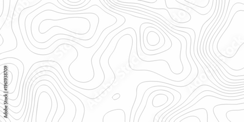 An abstract seamless pattern vector background features a geometric wave texture with black swirl lines and floral ornament design. Topographic map background