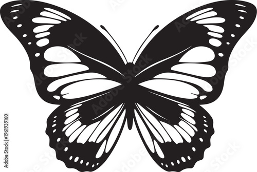 Butterfly Silhouette with White Spots and Black Wings Spread Wide
