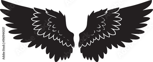 Black wings with white details on white background