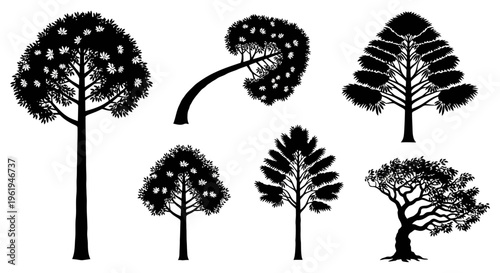 Silhouette Tree Collection: Diverse Shapes and Styles