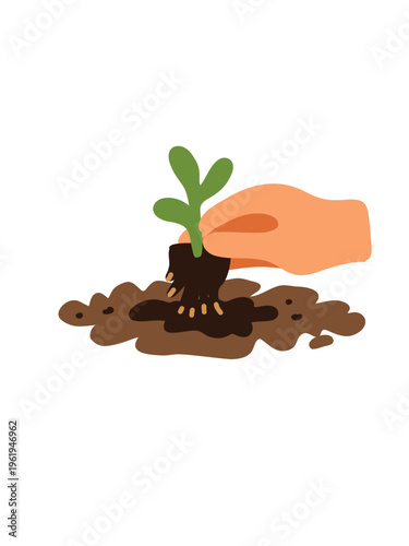hands planting young seedlings into fertile soil