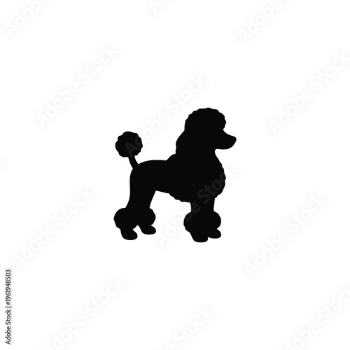poodle dog silhouette vector illustration
