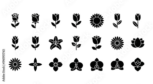 Collection of Black Flower Icons: Roses, Tulips, Lilies, Sunflowers, Orchids, Daisies
