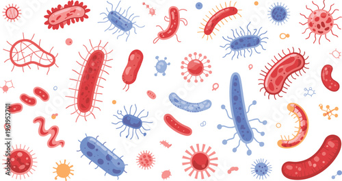 Cartoon illustration of various microorganisms including bacteria and viruses, colorful microscopic germs set for medical, science and healthcare design use