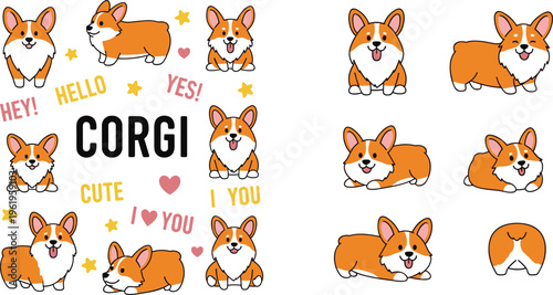 Cute corgi dog cartoon characters set with different poses, expressions and playful puppy illustrations vector collection