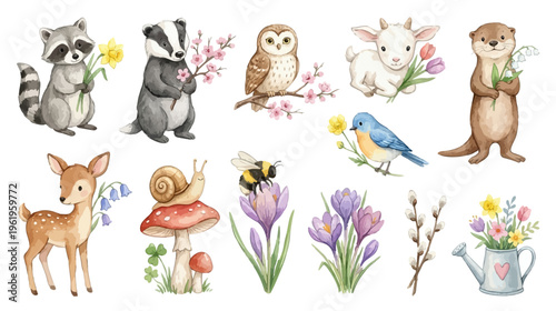 Cute woodland animals and spring floral elements set with raccoon, badger, deer, hedgehog, skunk, owl and flowers in watercolor style. Collection of Vector illustrations. Perfect for invitation, card