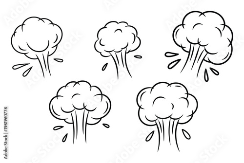 Cauliflower Vegetable Line Art Vector Illustration