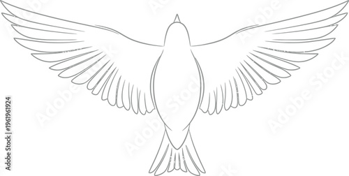 Elegant abstract line art illustration depicting a soaring bird with majestic outstretched wings from an overhead perspective, symbolizing freedom, peace, and spiritual grace in serene flight.