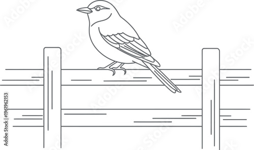 Simple black and white line art drawing of a small songbird perched peacefully on a rustic wooden fence against a clean white background, depicting wildlife in a minimalist graphic style.