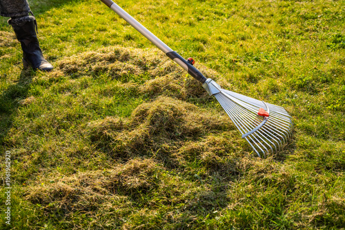 Принти на полотні Scarifying or raking a lawn with a grass rake to remove dead thatch weeds and mo