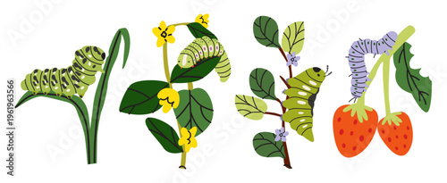 Set of cartoon green caterpillars on green leaves and branches. Vector cozy woodland illustrations scene in flat style. Nature, garden insects and biology education elements