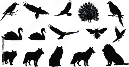 Wild animal and bird silhouette set with swan, peacock, lion, wolf, crow, owl, insect, nature vector illustration