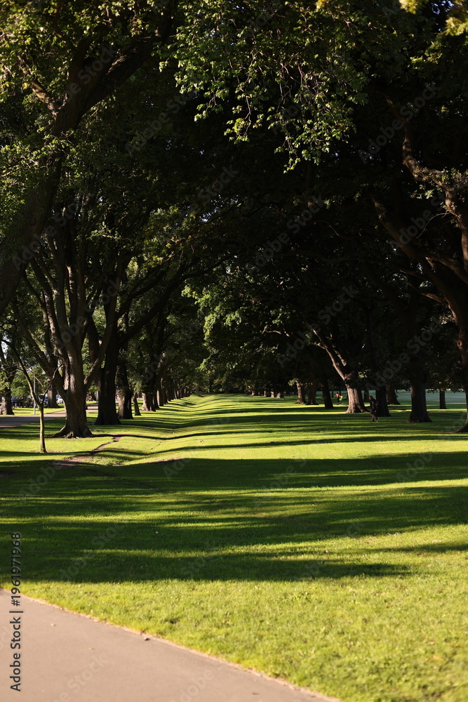 Obraz premium park in the park