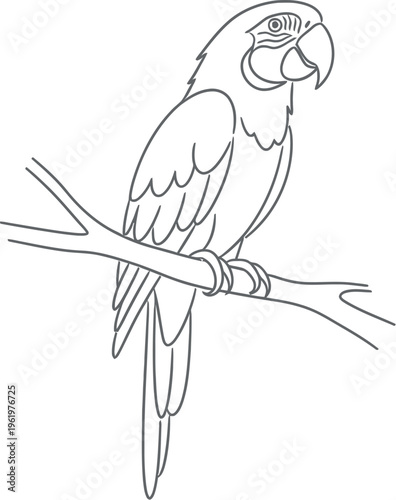 Adobe Illustrator Artwork