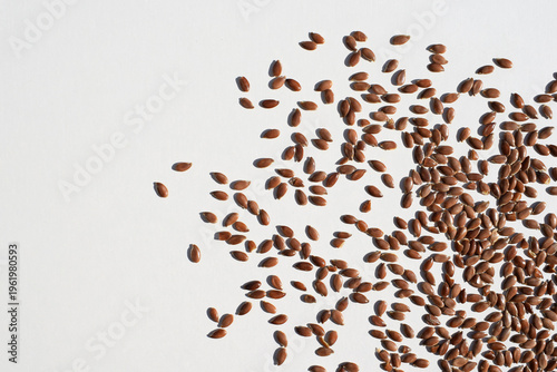 Brown flax seeds on a white background, copy space for text