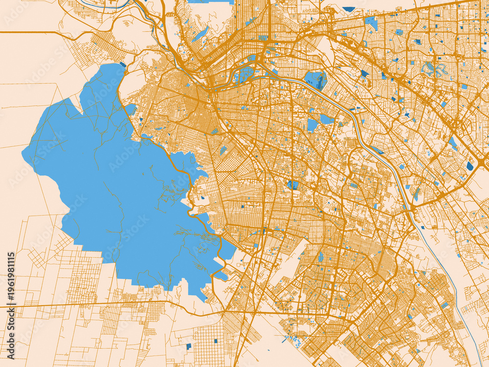 Fototapeta premium Graphic city map artwork of Ciudad Juarez, Mexico