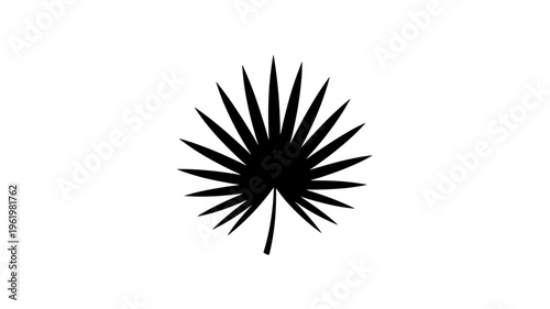 Black spiky plant silhouette isolated vector botanical illustration