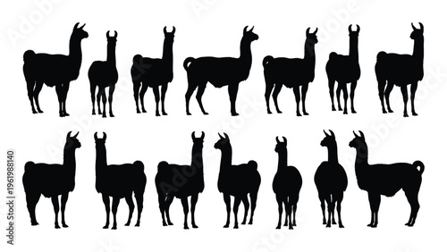 Silhouette illustration of a herd of llamas standing in two rows
