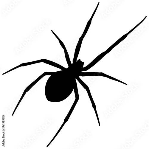 Εκτύπωση καμβά Black widow spider silhouette arachnid eight legs