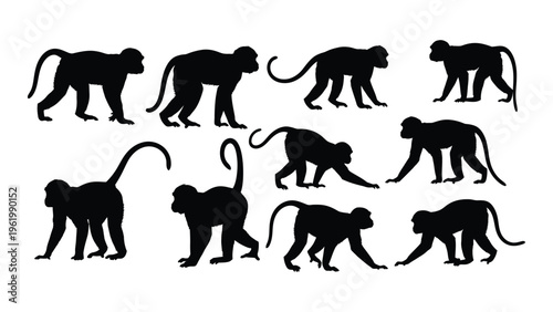 Silhouette illustrations of monkeys in various poses