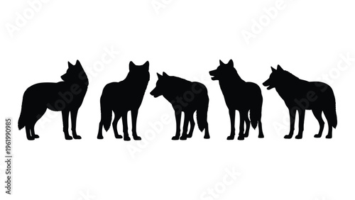 Five wolf silhouettes standing in a row looking right