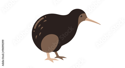 Cute Kiwi Bird Illustration Isolated on White Background
