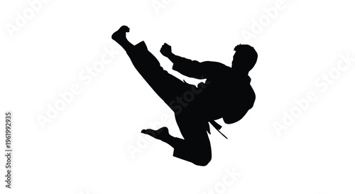 Martial artist practicing a dynamic kick in a striking silhouette