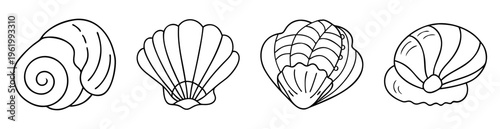 Variety of outlined seashells isolated on a white background illustration
