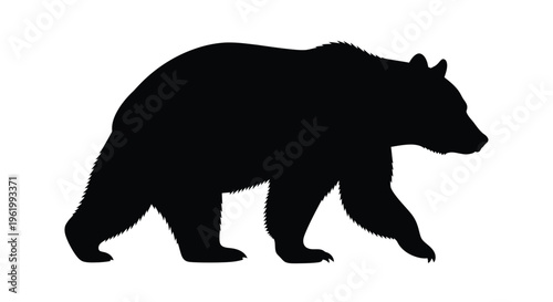 A striking black silhouette of a bear moving across a white background