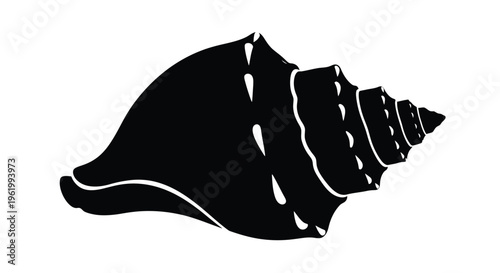 A striking black shell design with detailed ridges a dramatic silhouette