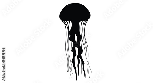 Simple black jellyfish illustration against a white background silhouette