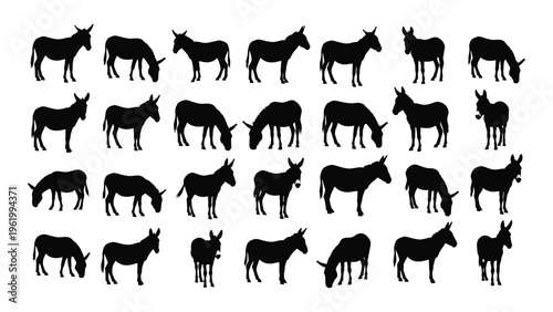 Collection of diverse donkey silhouettes in various poses