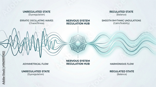 Harmonizing the mind's waves a graphic representation of how the nervous system transitions from stress to stability