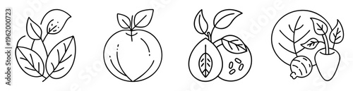 Delicate line art drawing depicting four groupings of various produce items