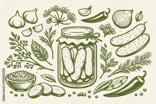 Pickled Cucumbers Jar Vector Set Vintage Engraving with Garlic, Dill and Spices