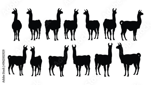 Collection of llama silhouettes in various poses