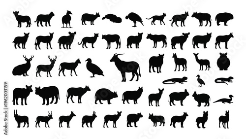 Collection of various animal silhouettes on white background