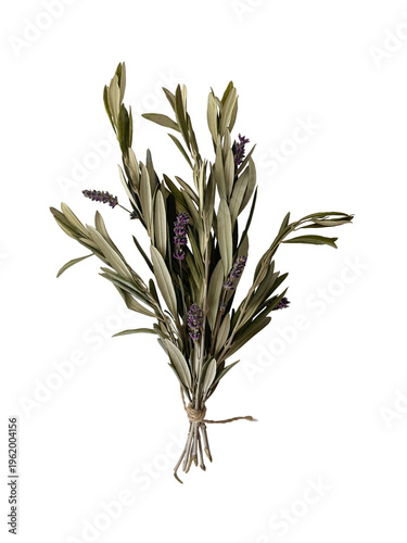 Isolated bouquet of olive tree branches with fresh lavender on white background