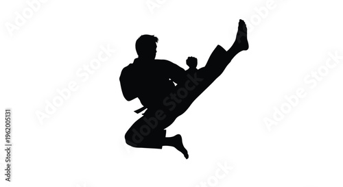Martial artist performing a dynamic kick in a striking silhouette