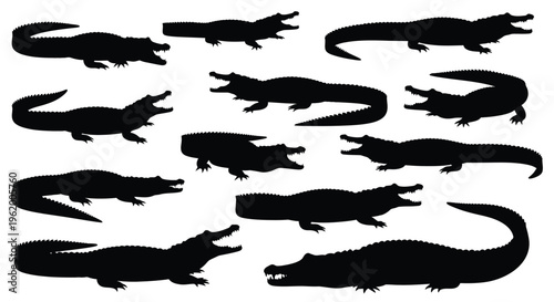 Multiple alligator silhouettes in various poses and orientations silhouette