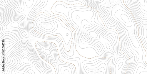 Abstract discovery topographic map banner texture background,Geographic contour map. Abstract outline grid, vector illustration.