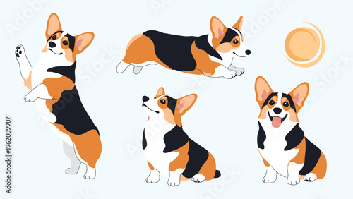Set of pembroke welsh corgi dog illustrations showing the breed jumping, sitting, and lying down on a light blue background.