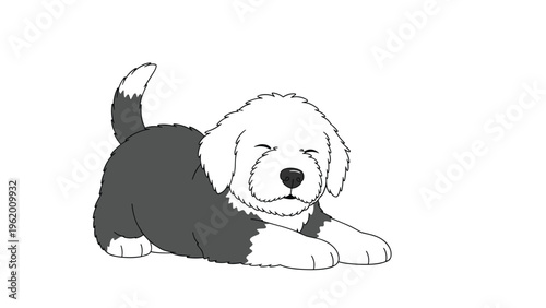 Playful old english sheepdog puppy crouching in a play bow position with its tail up and eyes closed in a happy expression.