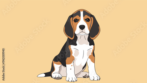 Portrait of a young beagle puppy sitting and looking directly at the camera with its characteristic floppy ears and tri-color fur coat.