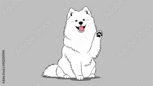 Fluffy white samoyed dog sitting and waving its paw with a happy smiling expression and pink tongue out on a neutral gray background.